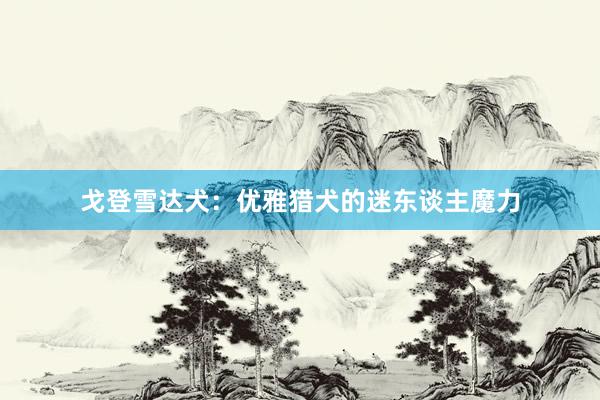 戈登雪达犬：优雅猎犬的迷东谈主魔力